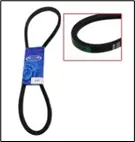 CORREA PARA AUTO (B40)