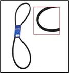 CORREAS (B61)