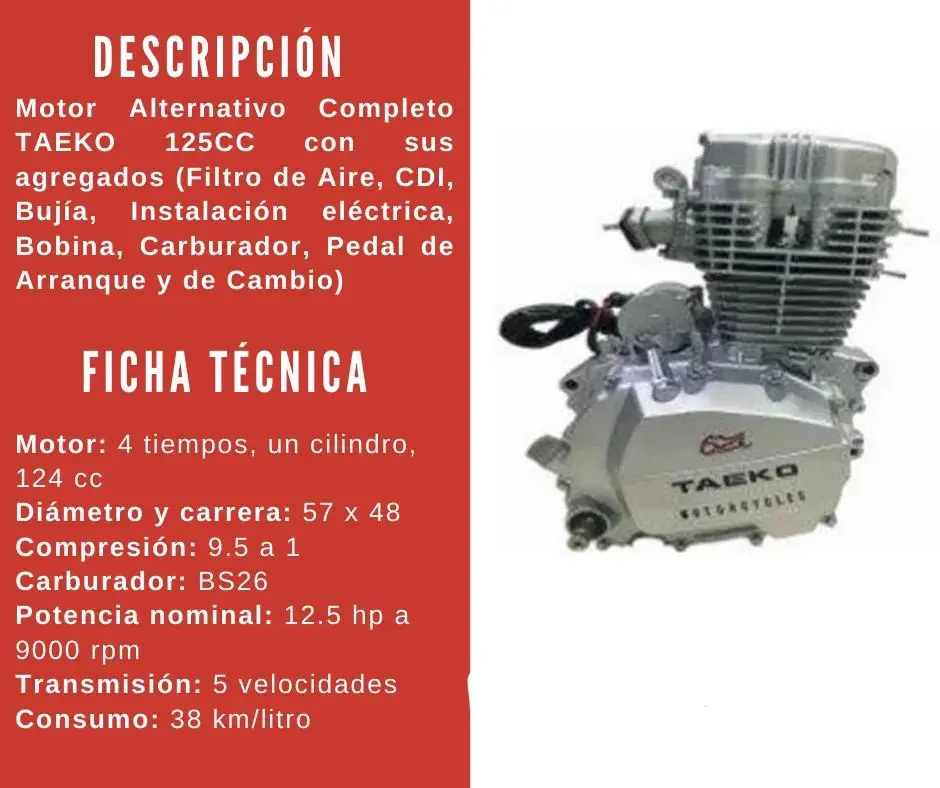 UNIDAD DE MOTOR TAEKO GN125 (TM-1908)