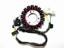 BOBINA Y MAGNETO P/MOTO GN-125 (TM-1445)