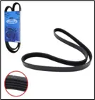 CORREA ACANALADA (5 CANALES) (5PK890)