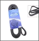 CORREA ACANALADA (6 CANALES) (6PK2585)