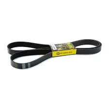 CORREAS (B65)