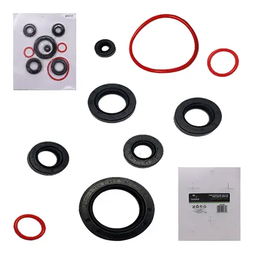 CONJUNTO DE SELLOS P/ GN 125 (TM-1453)